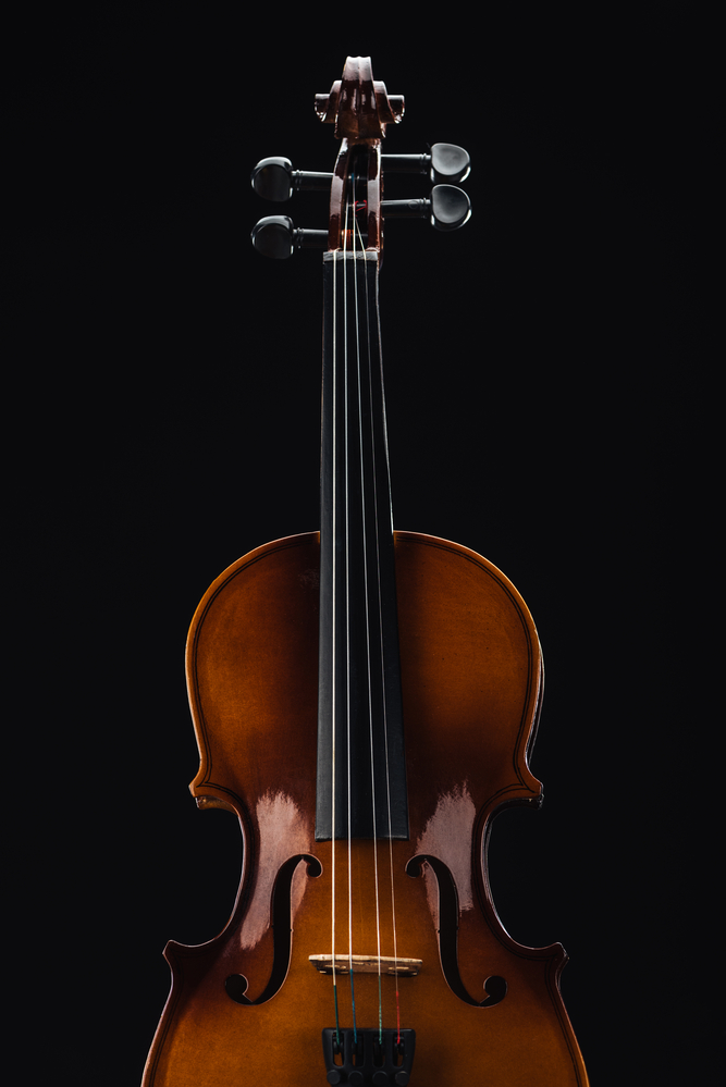 Violin